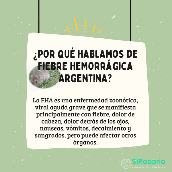 ¿Por qué hablamos de Fiebre Hemorrágica Argentina?